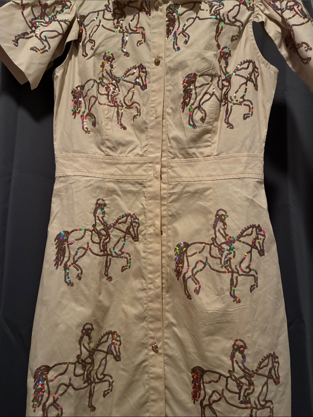 Beaded Equestrian Embroidered Tan Shirt Dress - Picture 3 of 5